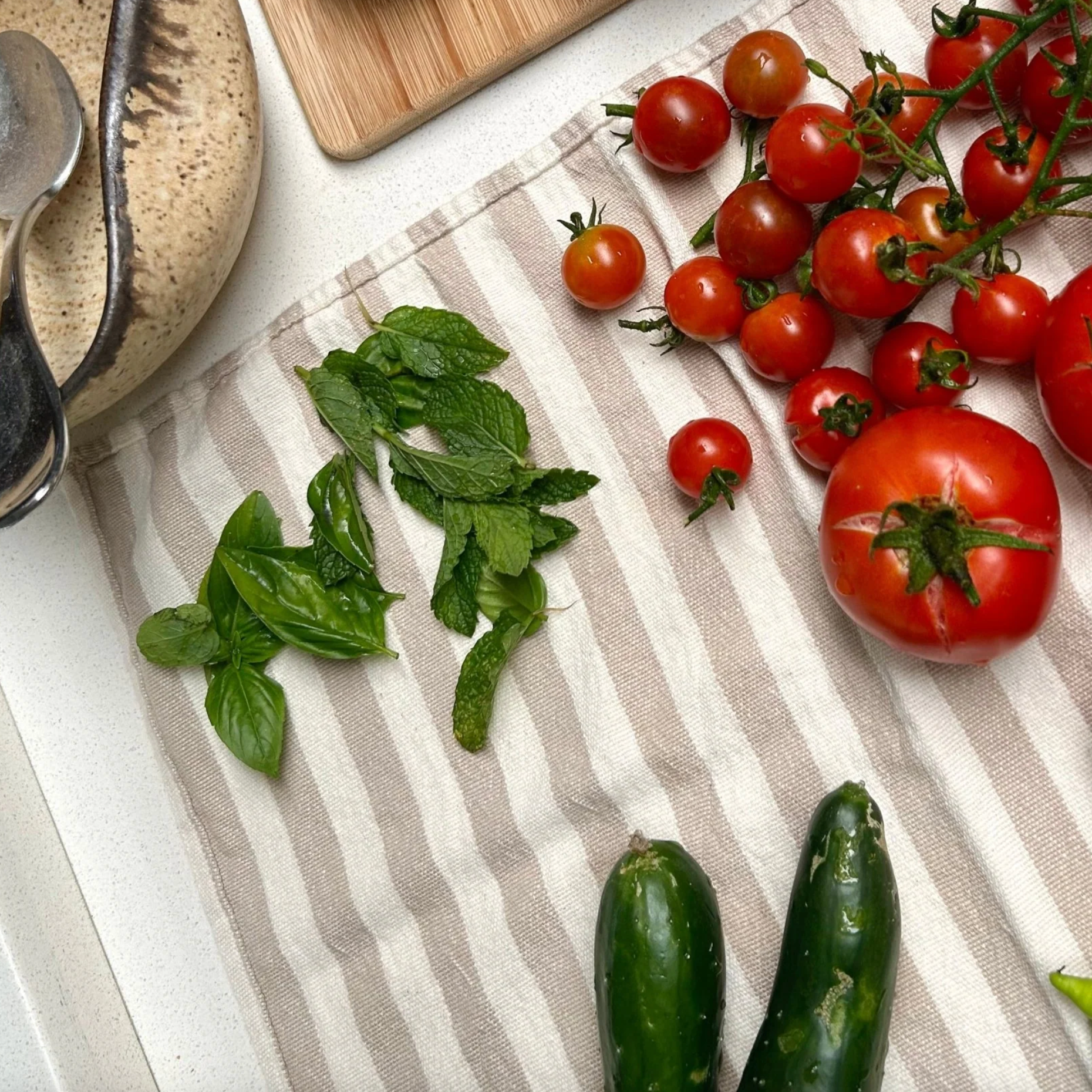 Cabana Turkish Kitchen Towel - Clay