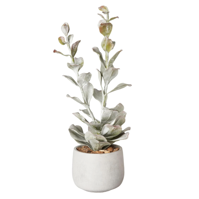 Faux Succulent in Cement Pot