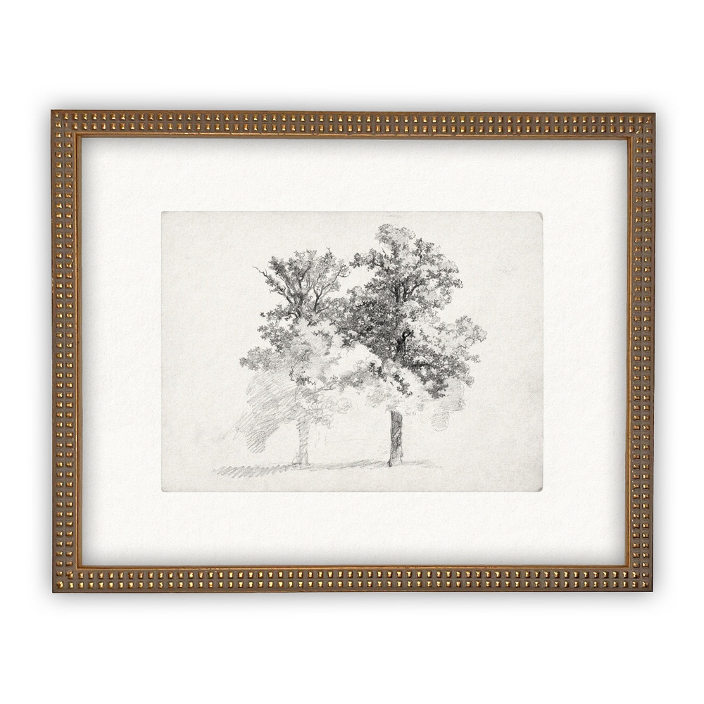 Oak Tree Vintage Canvas Print